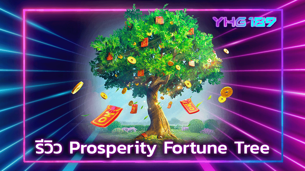 รีวิว Prosperity Fortune Tree